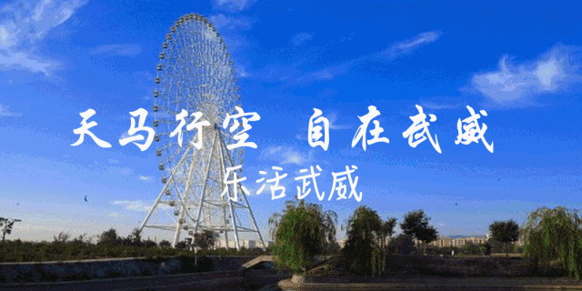 开云体育app下载-武威第十中学男子足球队挺进全国总决赛!!!!!!
