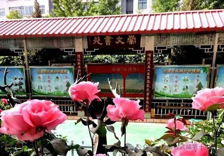 开云体育app下载-武威第十中学男子足球队挺进全国总决赛!!!!!!