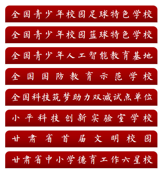 开云体育app下载-武威第十中学男子足球队挺进全国总决赛!!!!!!