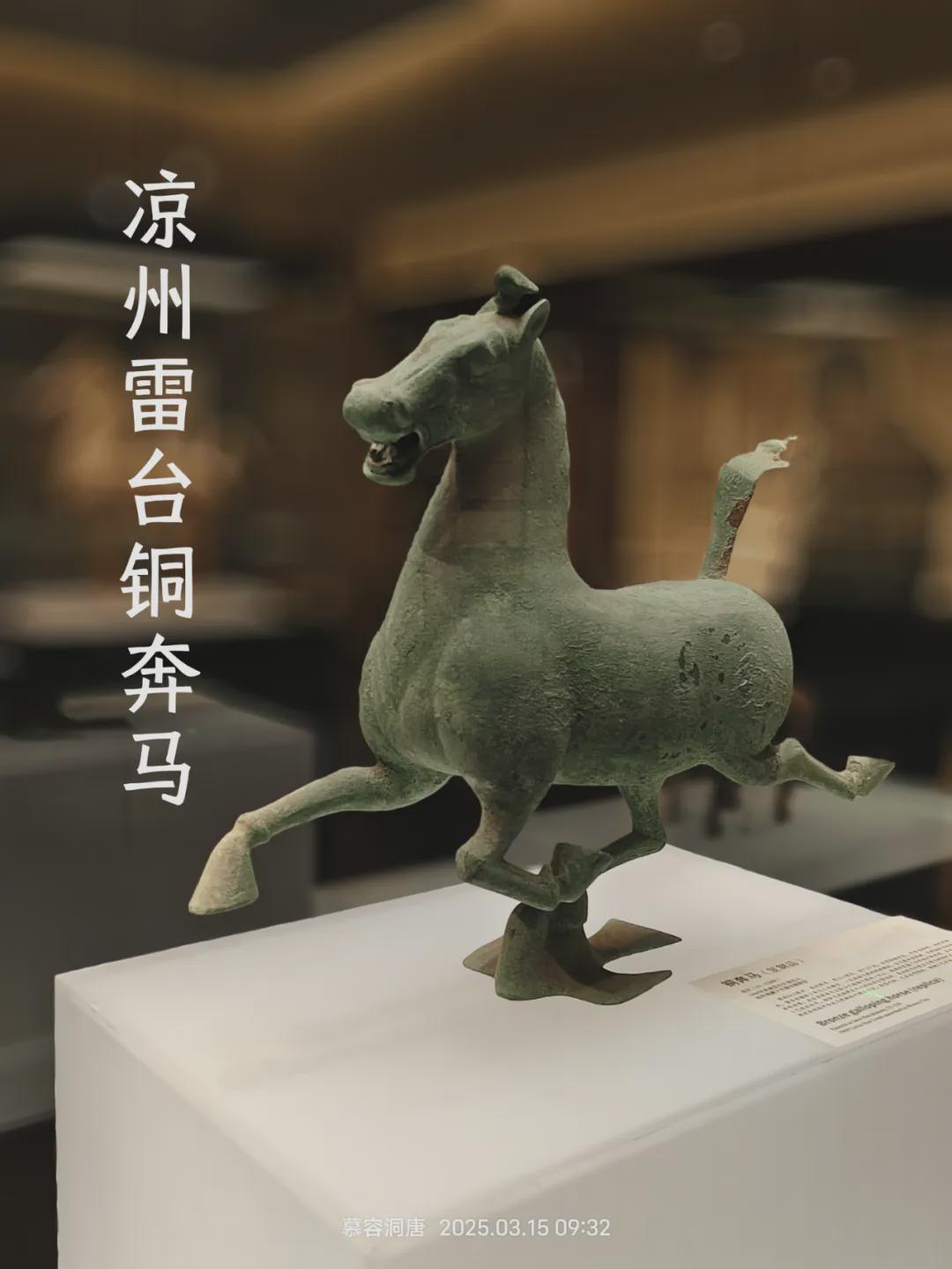 开云体育app下载-武威第十中学男子足球队挺进全国总决赛!!!!!!